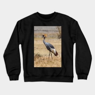 Grey Crowned Crane Crewneck Sweatshirt